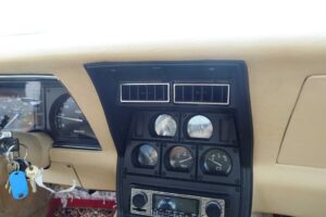 Chevrolet Corvette L-82 1981 RSD Wöchtl Classic Cars 2015-05-31_DSC08971